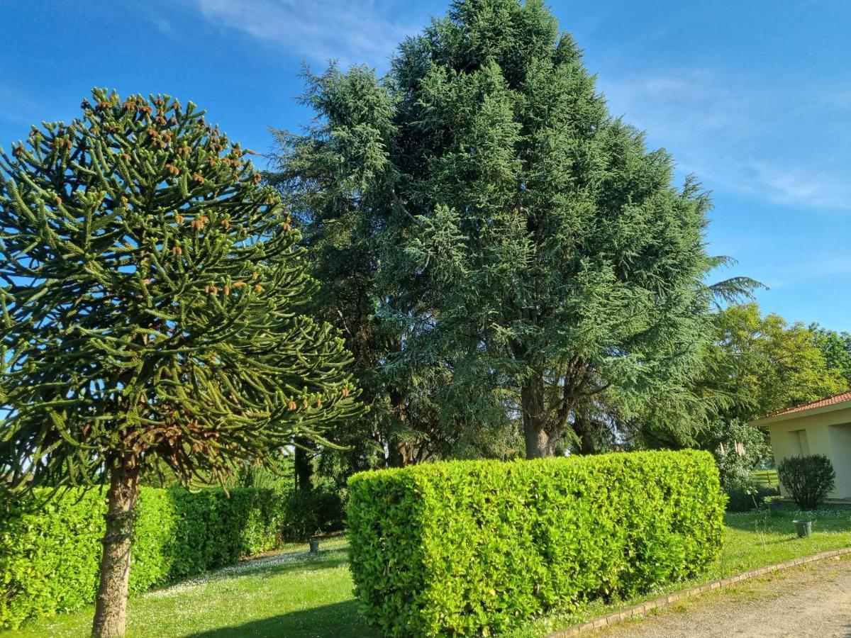 Villa Les 3 cèdres Miramont-de-Guyenne Esterno foto