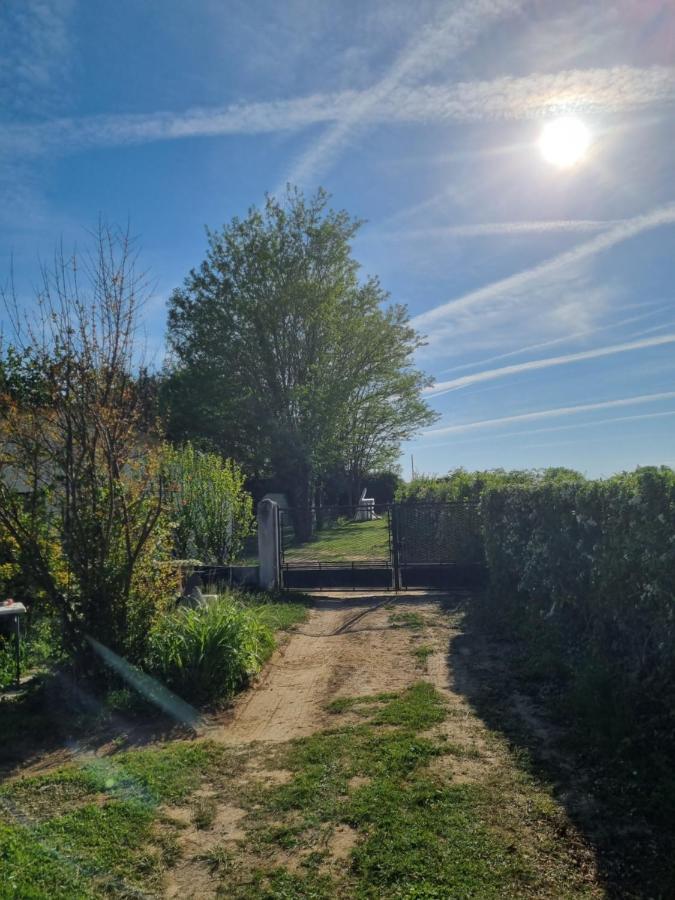 Villa Les 3 cèdres Miramont-de-Guyenne Esterno foto